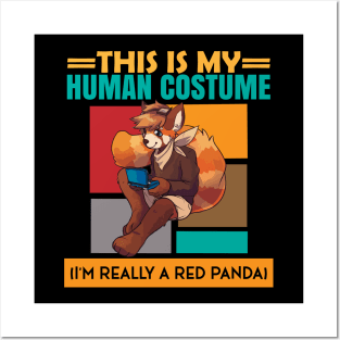 This Is My Human Costume I'm Really A Red Panda Halloween Posters and Art